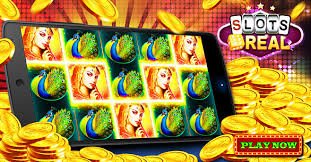 668v com bet